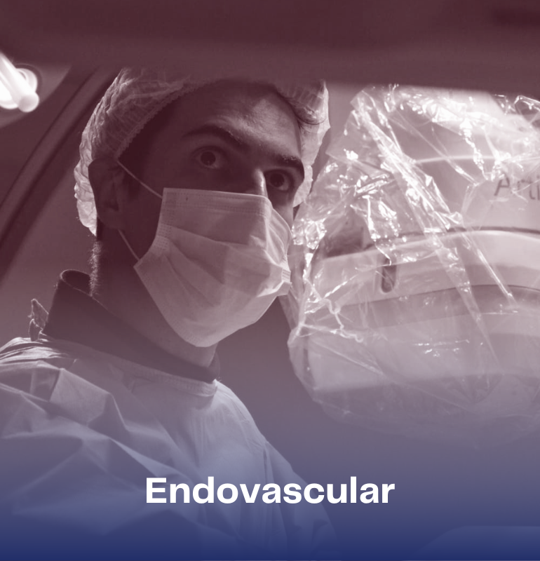 Endovascular