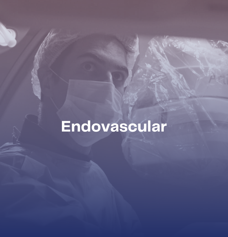 Endovascular